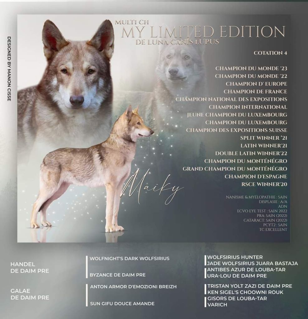 CH. My limited edition dit maïky De Luna Canis Lupus